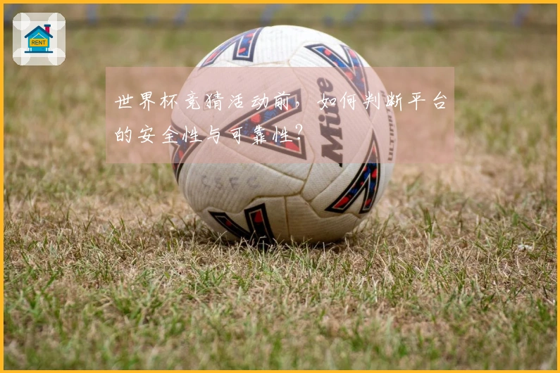 世界杯竞猜活动前，如何判断平台的安全性与可靠性？