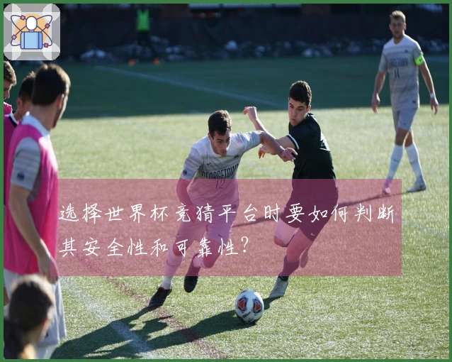 选择世界杯竞猜平台时要如何判断其安全性和可靠性？
